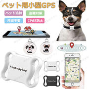 【ペット追跡・盗難対策】FindmayTag 首輪付き 全球ペット用GPS GPS発信機 （月額不要）リアルタイムGPS