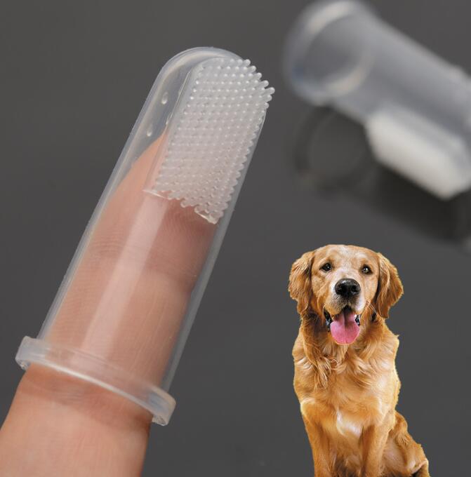 歯ブラシ　ペット　歯ブラシペット用　新作　ペット用品　歯に健康　オーラルケア　歯磨き　犬猫兼用　