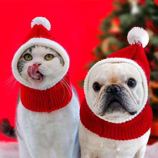 クリスマス ペット雑貨 猫 犬 ペット用品 帽子 アクセサリー おしゃれな ニット帽子