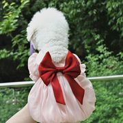 犬服　ペット　ペット服　ワンピース　新作　ドッグウェア　ペット用品　コート　猫犬兼用