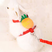 5色 ウサギハーネス リード 簡単着脱 迷子防止 散歩 牽引ロープ  小動物 ペット用品