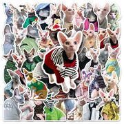 50枚/セット かわいい 猫のステッカー 猫アクセサリー diy装飾品 防水 手帳用シール 猫雑貨 猫カフェラベル
