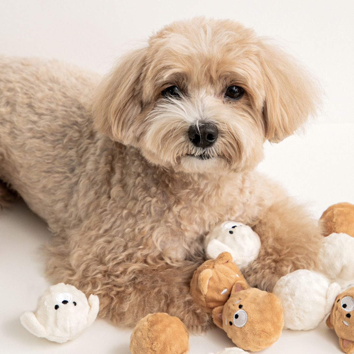 【2023新作】ペット用品   犬のおもちゃ　 超可愛い  噛む  玩具   ペットの玩具  発声    ペット雑貨