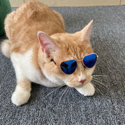 ペット 猫 犬 メガネ 防風 サングラス ビーチ シーサイド フォトサングラス