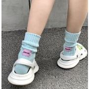 2024★春秋新作★ソックス★大人靴下★6色