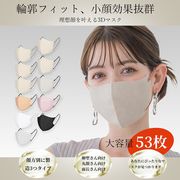 【大容量53枚3タイプ選べ】 HANAMI マスク 不織布 立体 3Dマスク 立体 バイカラー マスク不織布 冷感接触