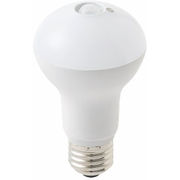 東京メタル工業 人感センサー付LED電球 昼白色 60W相当 口金E26 LDR8NS60
