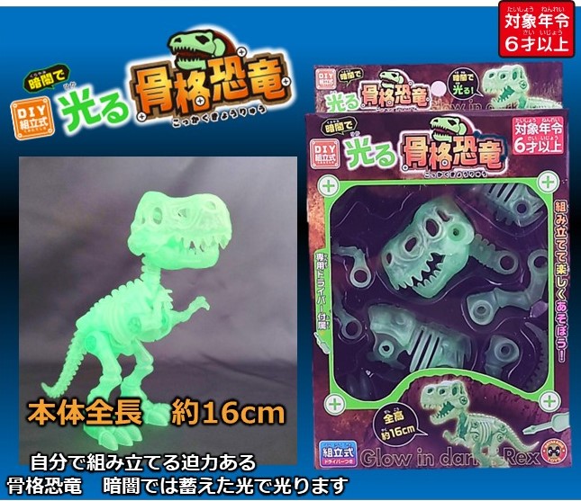 光る骨格恐竜 | 卸売・ 問屋・仕入れの専門サイト【NETSEA】