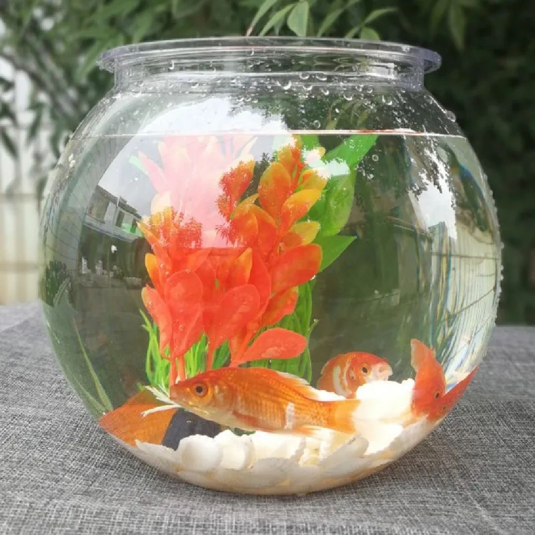 Supreme 20FW Fish Bowl 金魚鉢 水槽 花瓶