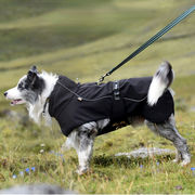 犬の服は大きな犬を引っ張る大きな犬のジャケット春、夏、秋、冬のレインコート