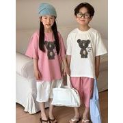 2024夏新作 韓国風子供服 新しいスタイル 男女兼用 Tシャツ 2色 90-140cm