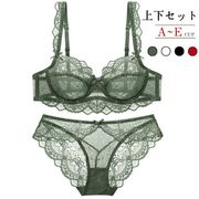 ブラジャーブラショーツセット
