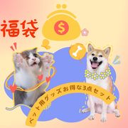 D0018◆激安！数量限定　無料 超買得!　猫グッズ・犬グッズ・PETペット用おもちゃ・首輪　3点セット福袋