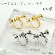 ステンレス316 ネジバネイヤリング カン付き【6爪】3mm 4mm 10個 サージカルステンレス ハンドメイド