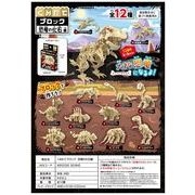 くみたてブロック　恐竜の化石編