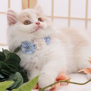 ペット用首輪 お花 リボンタイプ チョーカー 首飾り ハーネス アクセサリー 小型犬用 猫用 ペット用 装飾