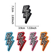 布パッチ刺繍ホットスポットクロスボーダーtemuアイロンホットメルトシュニール刺繍パッチヒョウ柄ライ