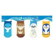 ハッピーフレンズソックス アザラシ KS56-56