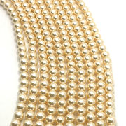 【シェルパール 】貝パール ビーズ シャンパンゴールド（6mm/8mm/10mm） 連売り 素材 パーツ　国内発送