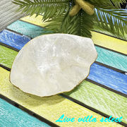 シェルミニトレイ(フチ金）　シェル