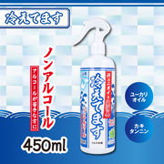 [メーカー欠品]超消臭 冷えてますスプレー ノンアルコールタイプ 450mL