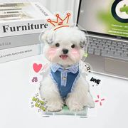 春夏新作　デニム　犬服   犬の服　猫　ネコ　猫服　犬　ペット服　ワンちゃん服　ペット用品 (XS-XL)