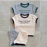 2025夏新作 韓国INS風  ベビー幼児   半袖  Tシャツ+ショートパンツ  セットアップ 2色  73-120Cm