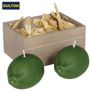【パディマ限定　特別SALE】■DULTON■■X'mas■　Candle set of 2　A　Lime