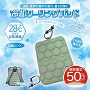 リュック 冷感パッド ひんやり 冷たい ランドセル シート 自然凍結 熱中症対策 大人 男女兼用 冷却 クール