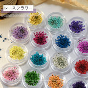ネイル 押し花 ドライフラワー ハンドメイド 高品質 ネイルアート ナチュラル 花 小分け 少量 ケース入り