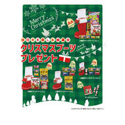 (ウインターナウ)(直送品)クリスマスブーツプレゼント100人用　(7774)