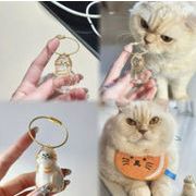 2025秋冬新作  　ペットの毛の保管 犬猫の毛収納ボックス　キーホルダー ストラップ 6色
