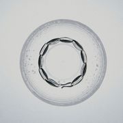 【Nothing And Others】Characteristic Chain Bracelet /キャラクターリスティックチェーンブレスレット