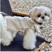 韓国　新作　 犬服　ペット 服　ペット　犬 服　猫服　ペット用品　ネコ雑貨　犬 ベッド　クリスマス