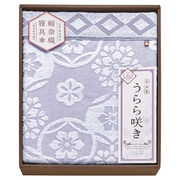 今治 うらら咲き タオルケット