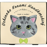 Ｕｃｈｉｎｏｋｏ　ｍａｔｅ　毛並みハンカチサバトラ