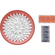 ふく霜降り刺身セット NS-SDZ