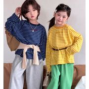 2026 夏新作 トップス 韓国風子供服 子供服 Tシャツ長袖スウェット3色 90cm-150cm