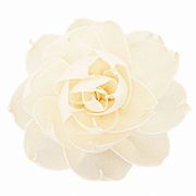 【2026年SS新作】ソラフラワー　ドライ　ソラ　ロサ　白　3輪入　YF149574-zzz