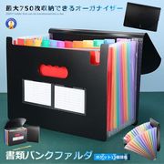 A4ドキュメントファイル黒13ポケット