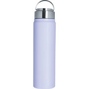アンサンブル ステンレス　ボトル　７００ｍＬ パープル LB-1682