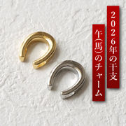 ステンレス製 馬蹄チャーム U字 ホースシュー ゴールド 開運 金運 お守り  金属アレルギー対応