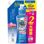 ヤシノミ洗たく洗剤　濃縮タイプ　詰替用