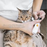 ペット用ミニ電動足裏トリマー 猫 バリカン 足 裏 肉球 シェーバー  USB式  小さめサイズ 低振動 低騒音