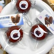 新作減圧グッズins人気 スクイーズ玩具 子供おもちゃ ストレス解消 撮影道具LF