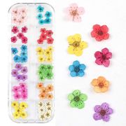 ネイルパーツ レジン パーツ 押し花 パーツ 花 12色セット ドライフラワー 5枚花 レース花 デコ セット