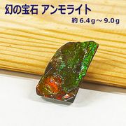 カナダ(アルバータ州)産 アンモライト化石 赤緑系  バッファローストーン （その1） 置物 パワーストーン