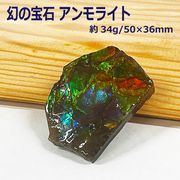 カナダ(アルバータ州)産 アンモライト化石 赤緑系  バッファローストーン （その４） 置物 パワーストーン