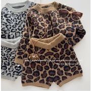 【2点セット】2026秋冬新作★韓国風子供服 ★キッズ服★ 丸首のセーター +ショットパンツ90-150