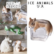 ■キーストーン■　ICE ANIMALS　リス